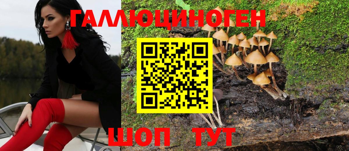 Псилоцибиновые грибы Psilocybe Бугульма
